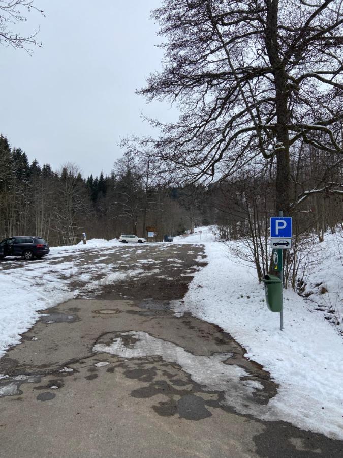 Gemuetliche Ferienwohnung Evieline In Todtmoos Bagian luar foto