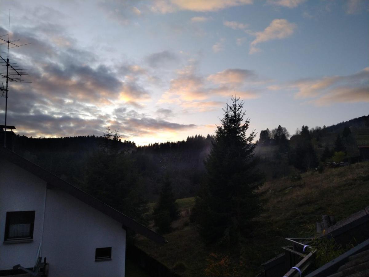 Gemuetliche Ferienwohnung Evieline In Todtmoos Bagian luar foto